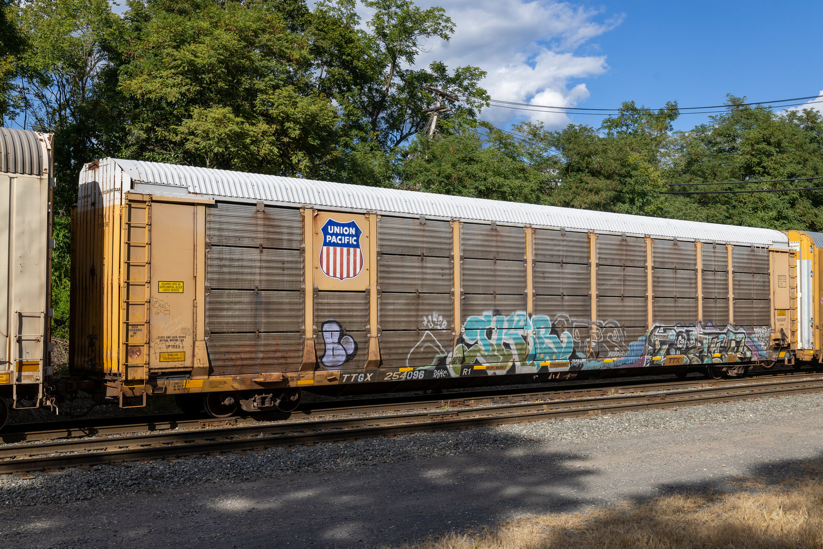 TTGX 254096