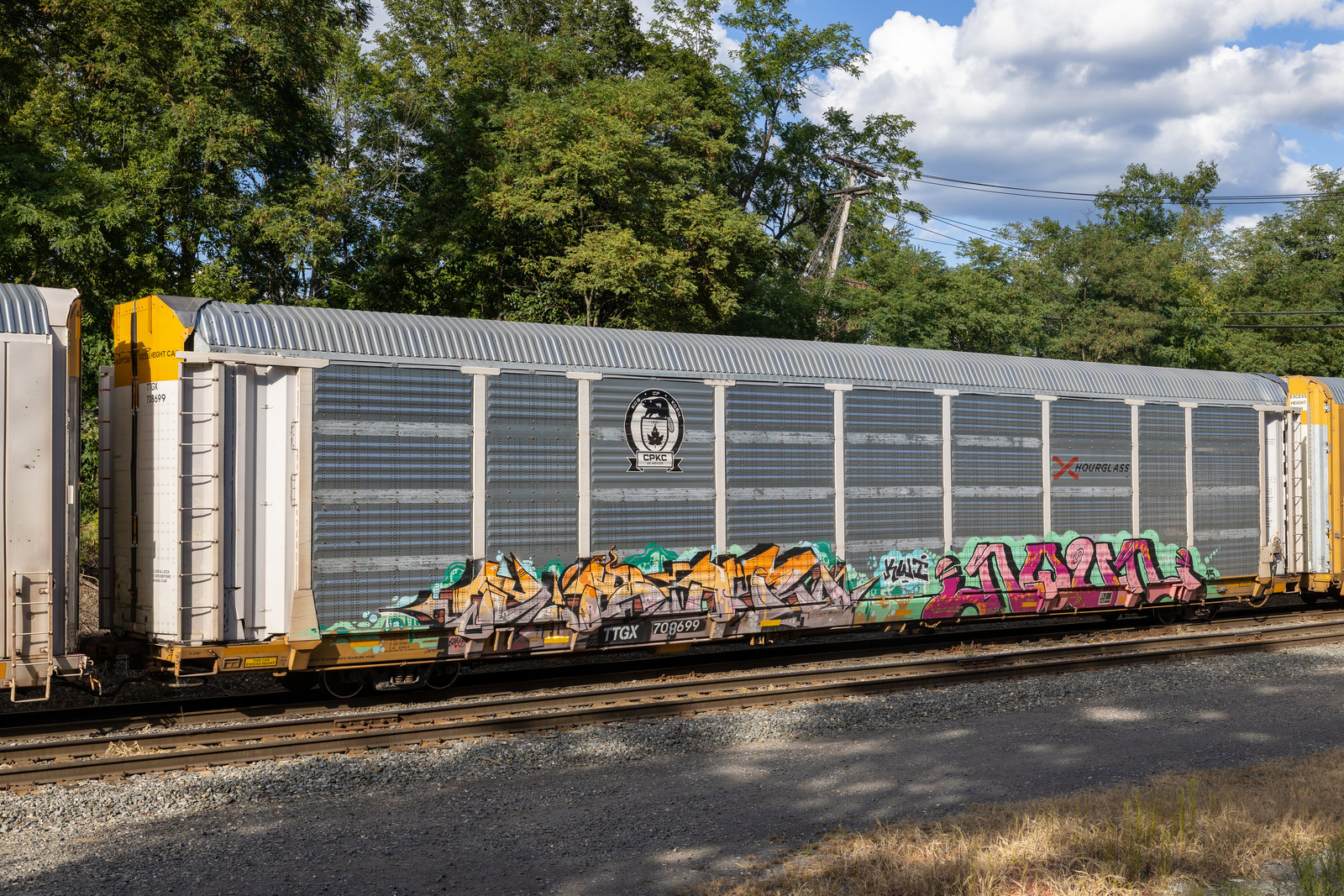 TTGX 708699