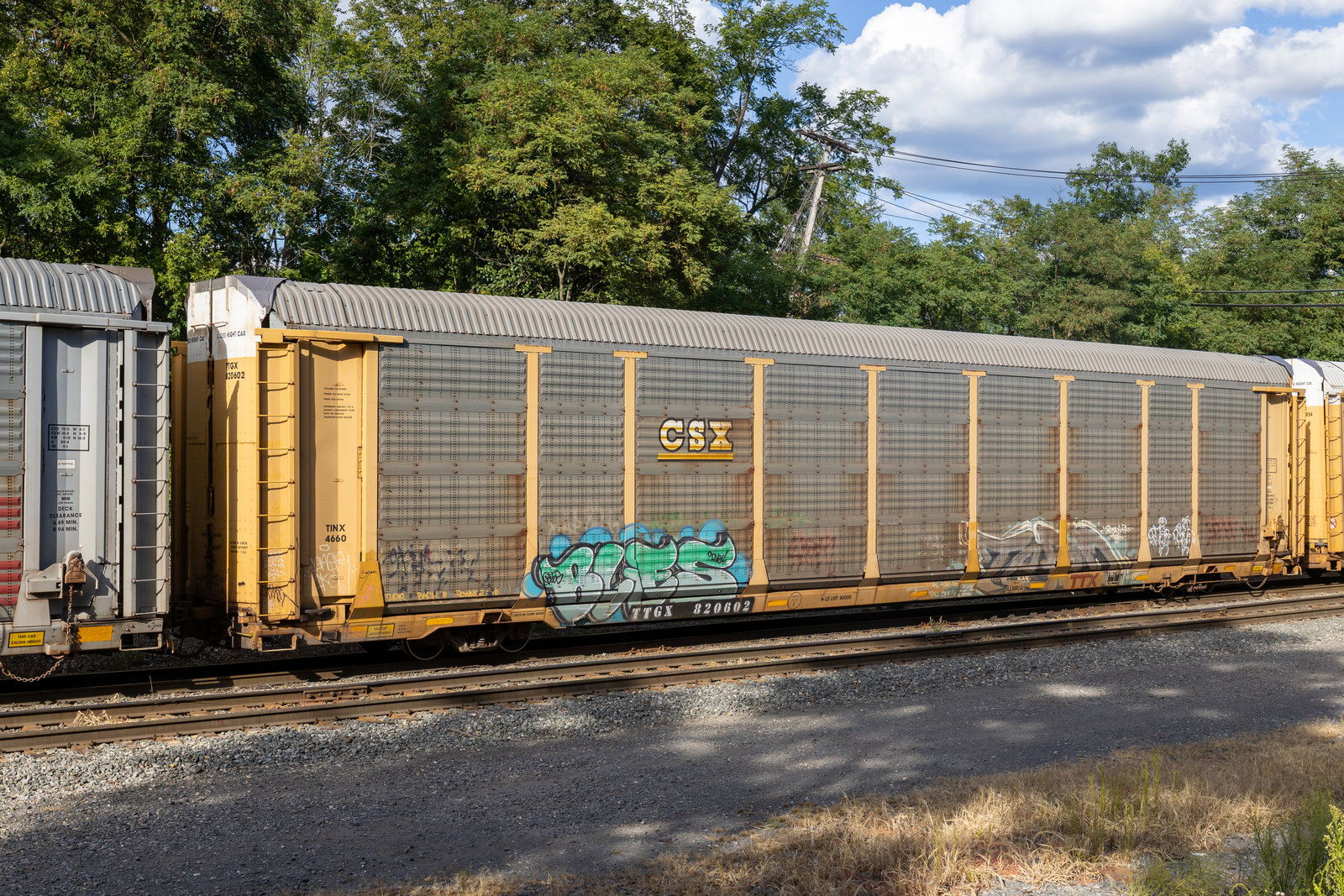 TTGX 820602