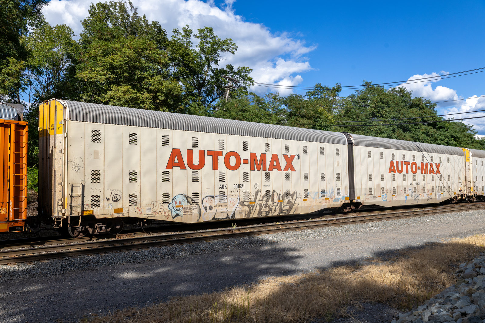 AOK 501521