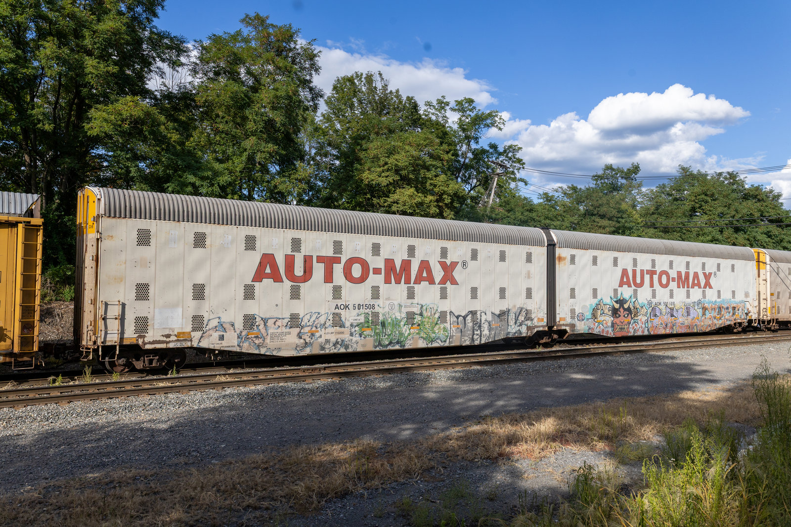 AOK 501508