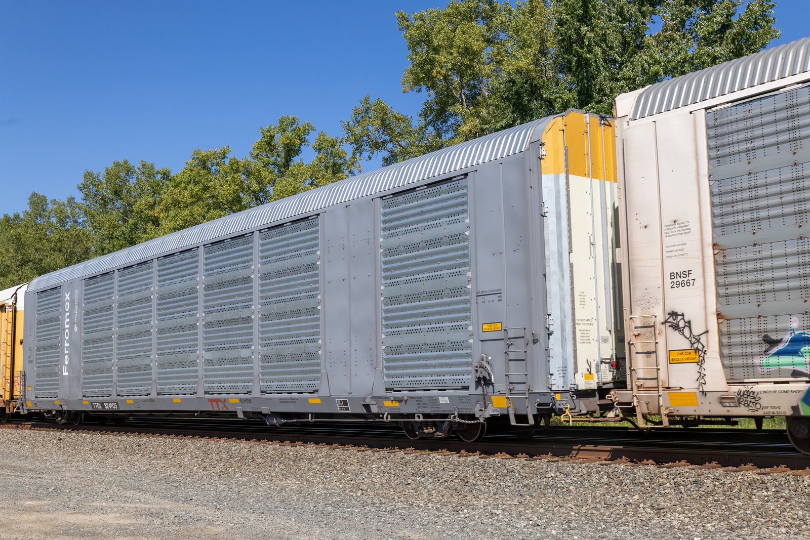 TTGX 824905