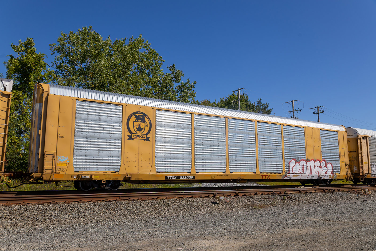 TTGX 823009
