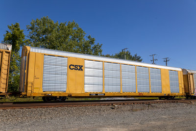 TTGX 825610