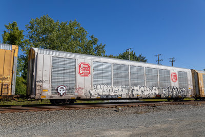 TTGX 697266