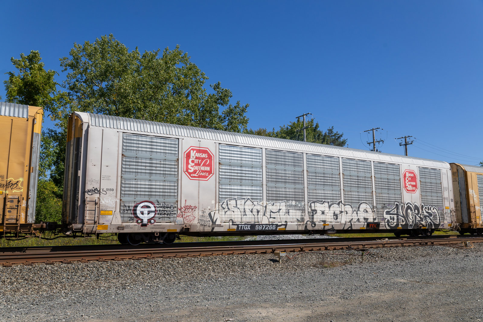 TTGX 697266