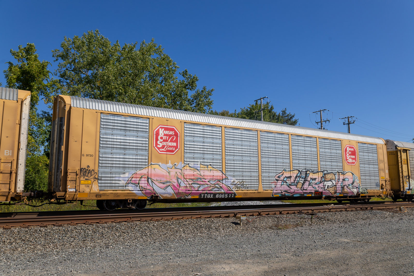 TTGX 696577