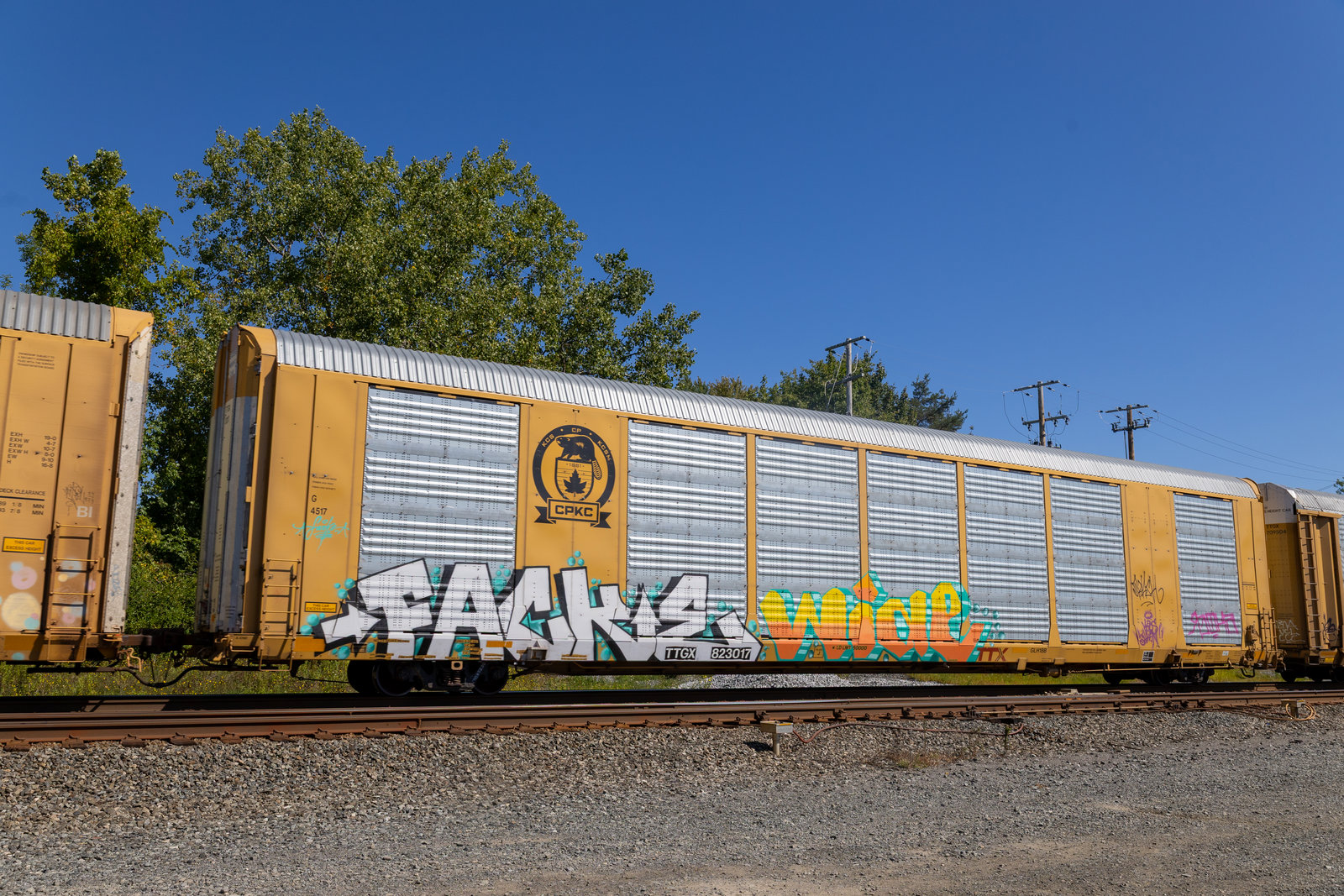 TTGX 823017