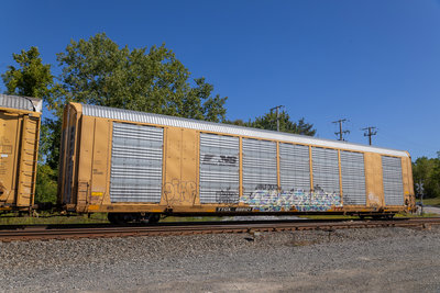 TTGX 698121