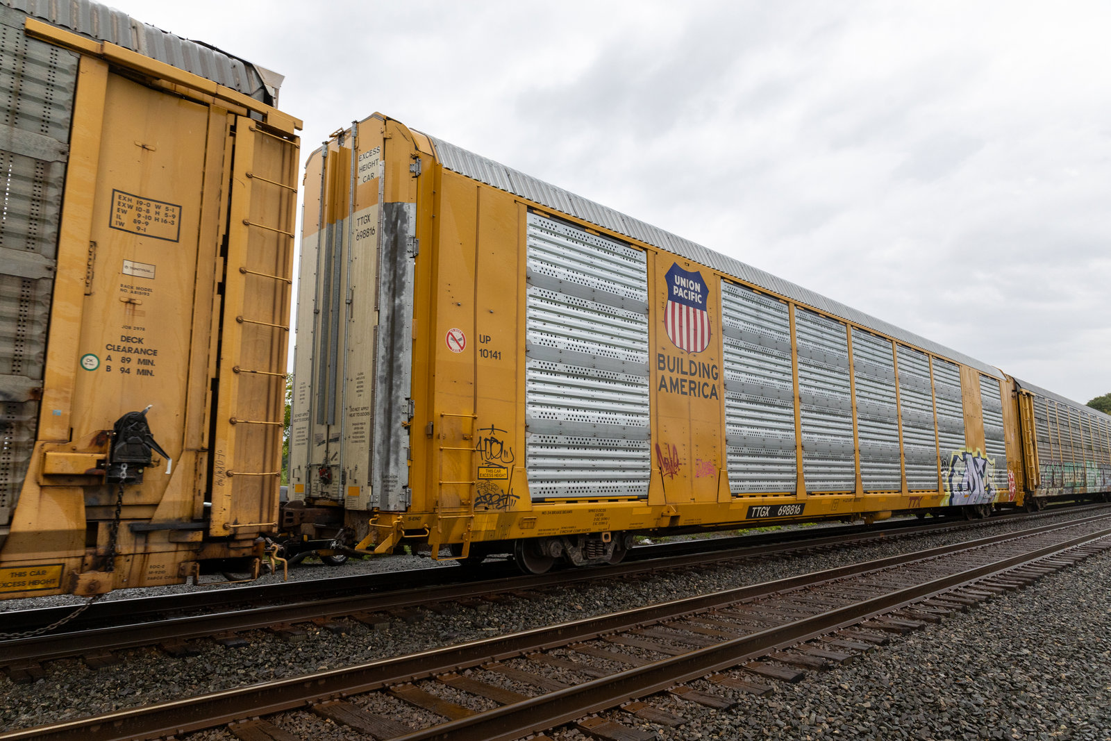 TTGX 698816