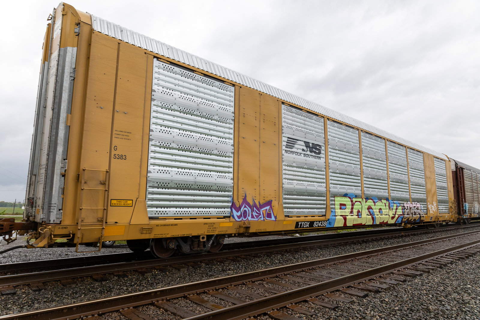 TTGX 824380
