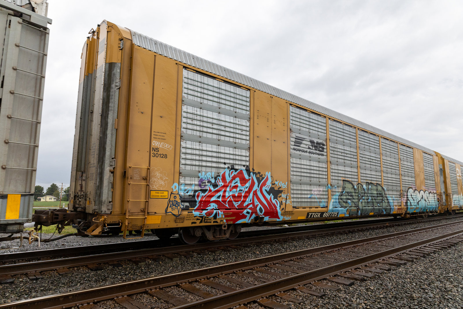 TTGX 697725