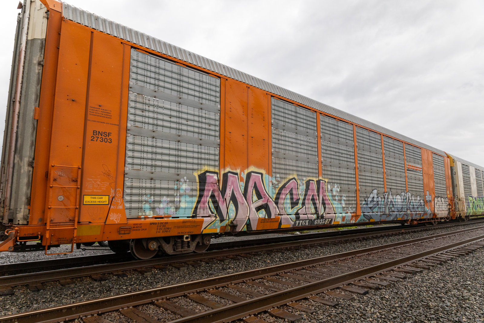 TTGX 693587