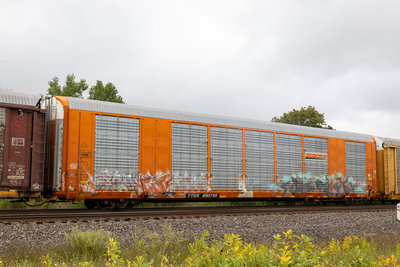 TTGX 693755
