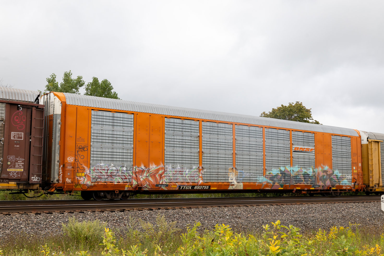 TTGX 693755