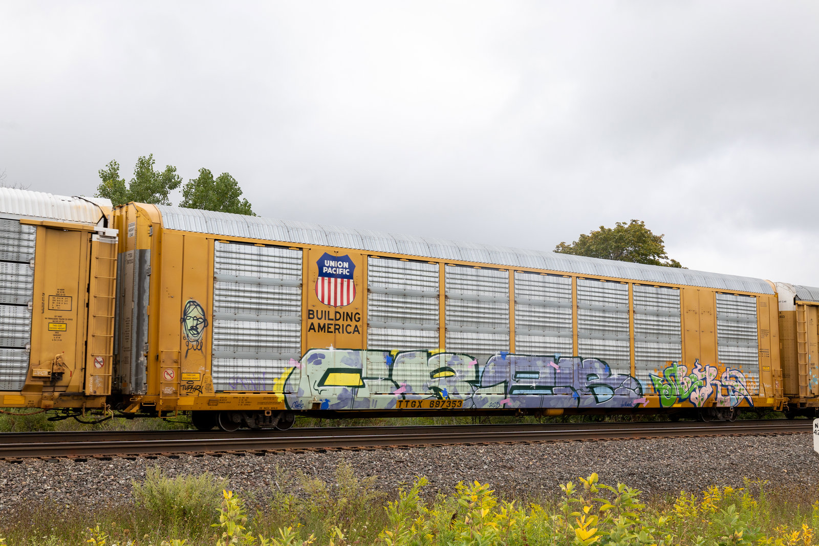 TTGX 697353