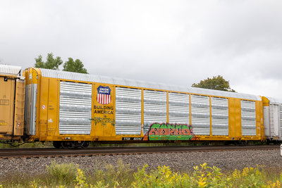 TTGX 823167