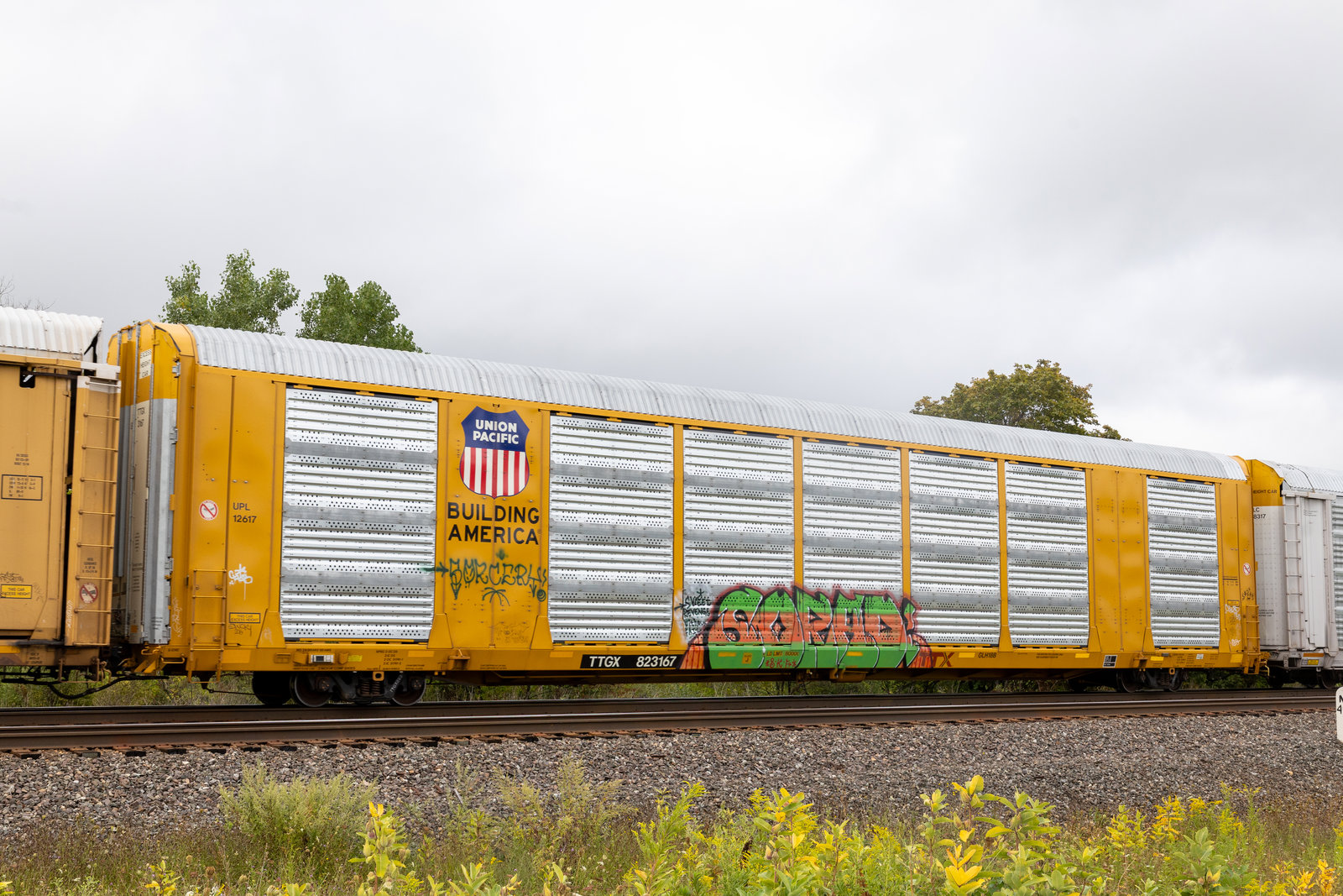 TTGX 823167
