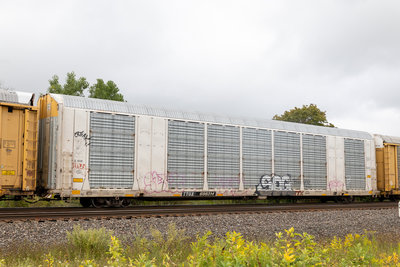 TTGX 698314