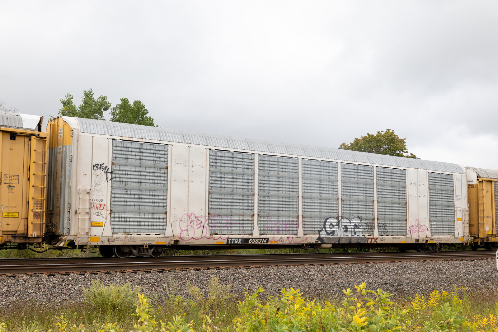 TTGX 698314