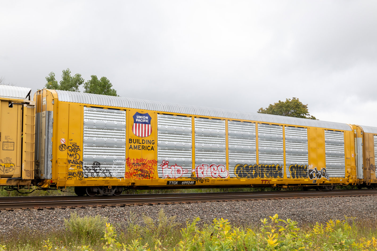 TTGX 699249
