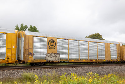 TTGX 822256