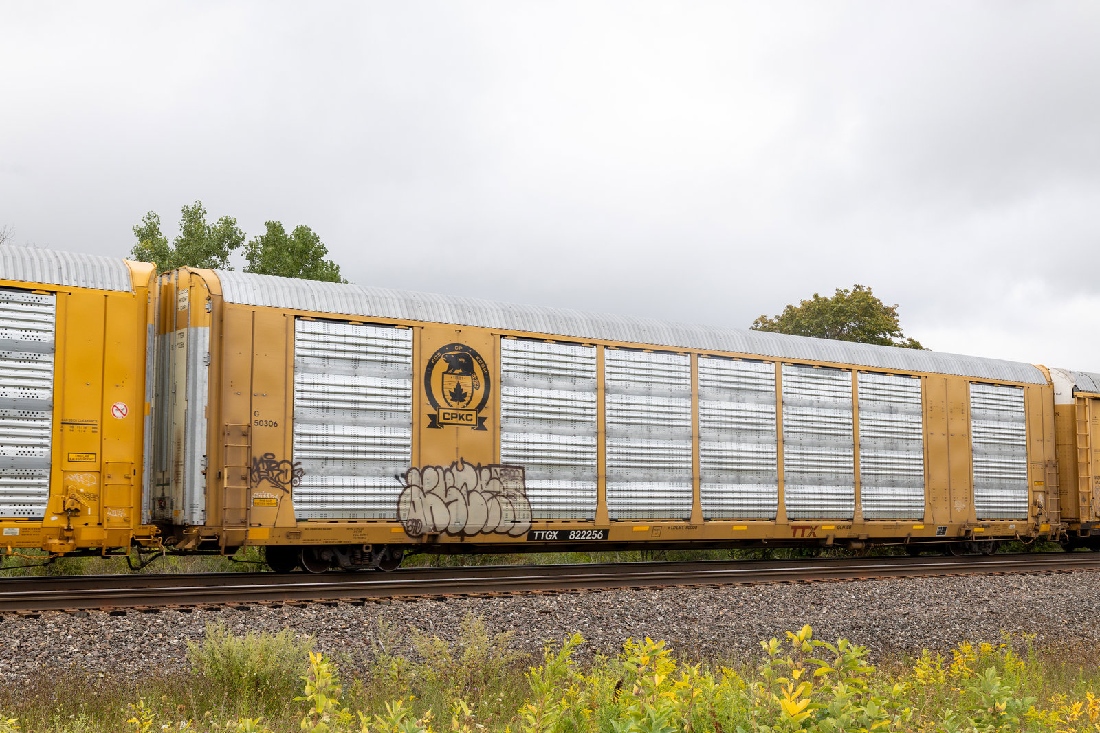 TTGX 822256
