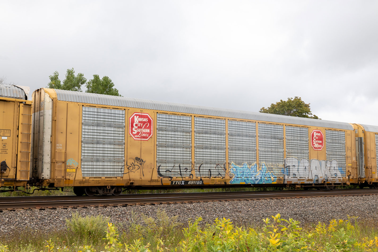 TTGX 691190