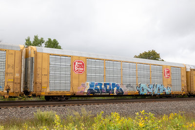 TTGX 696399
