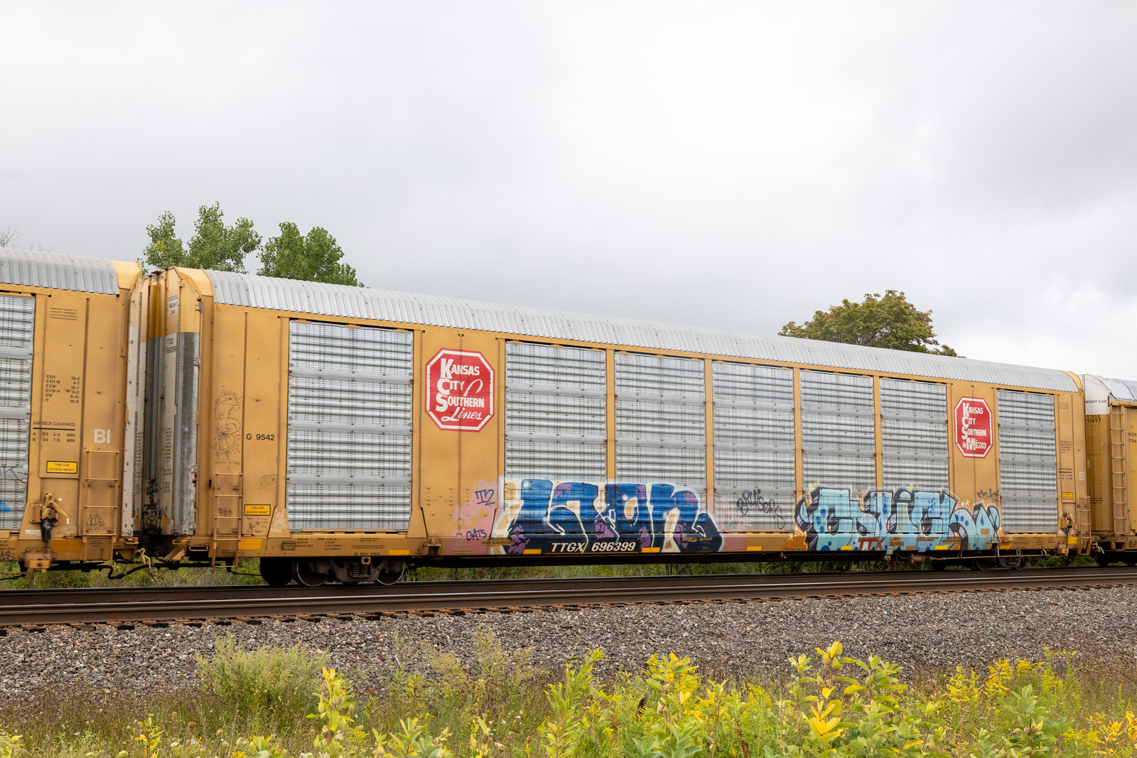 TTGX 696399