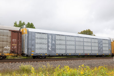 TTGX 824749