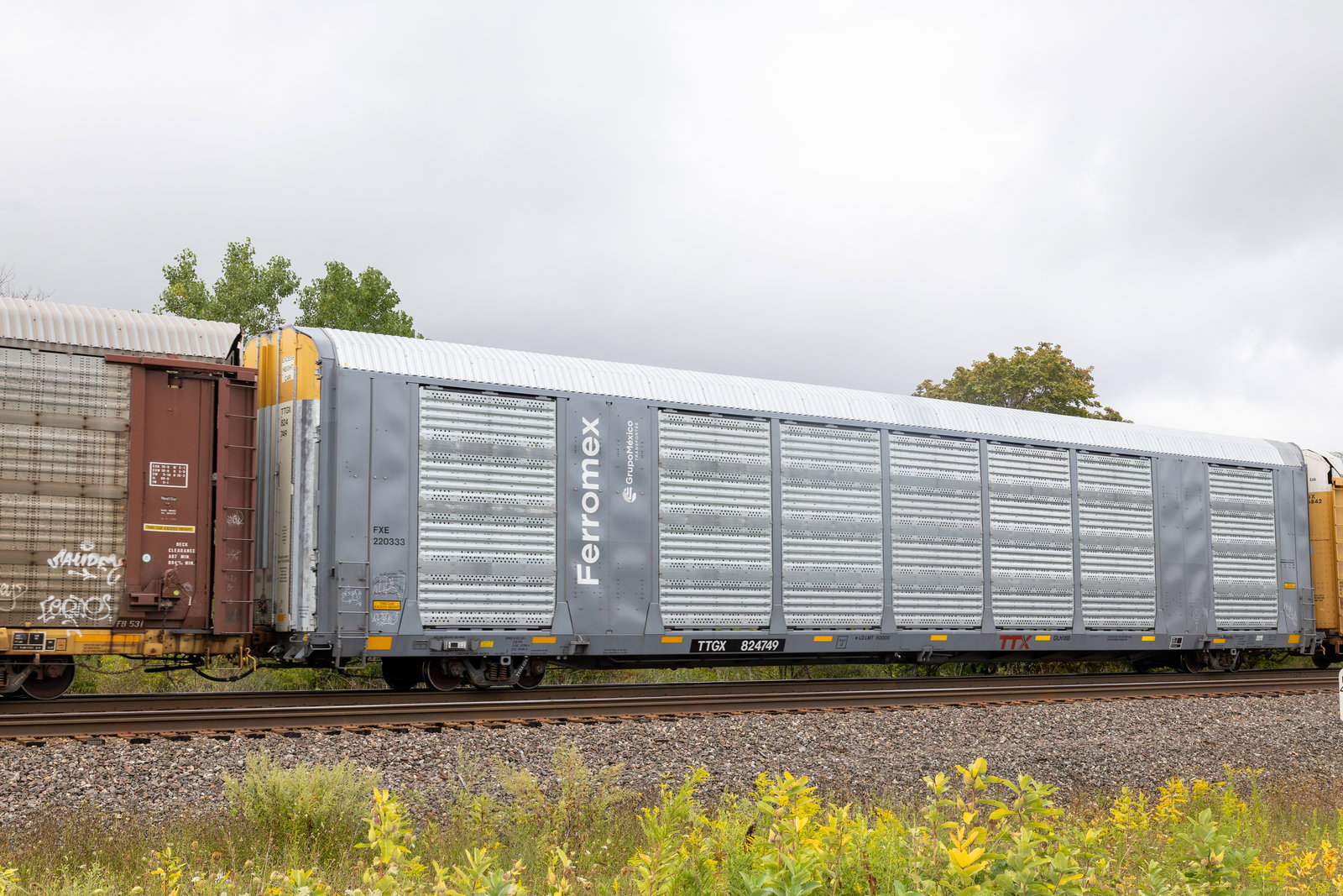 TTGX 824749