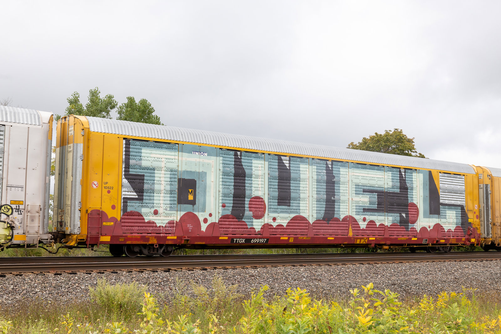 TTGX 699197