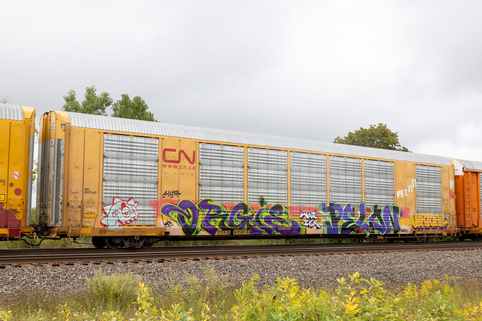 TTGX 697045