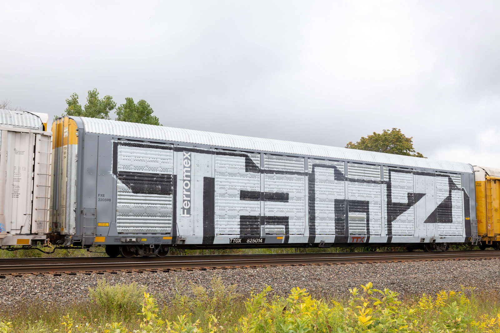 TTGX 825014