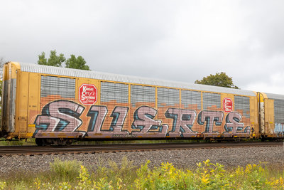 TTGX 696117