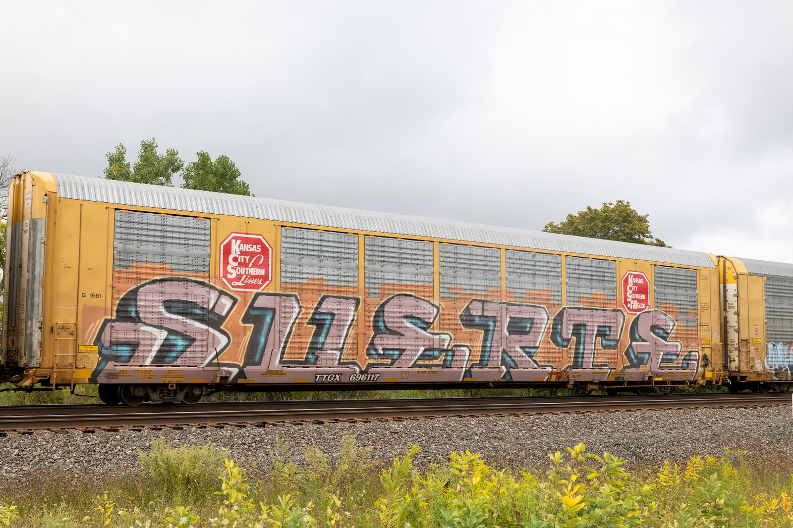 TTGX 696117