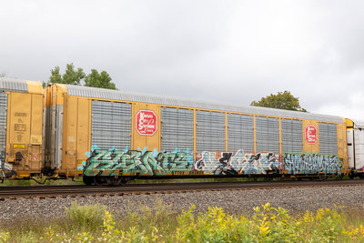 TTGX 693899