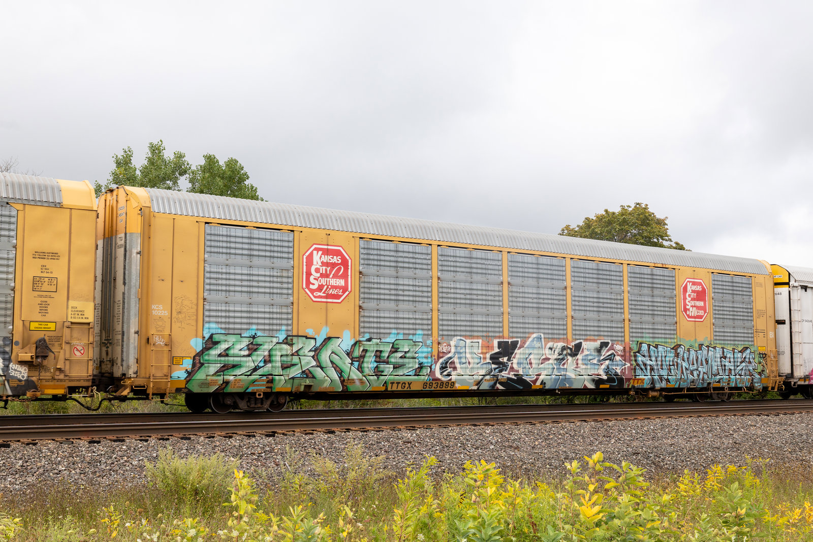 TTGX 693899