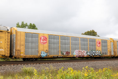 TTGX 696105