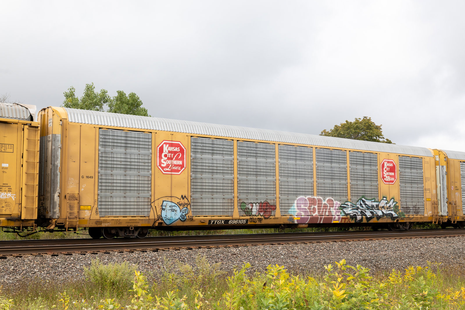 TTGX 696105