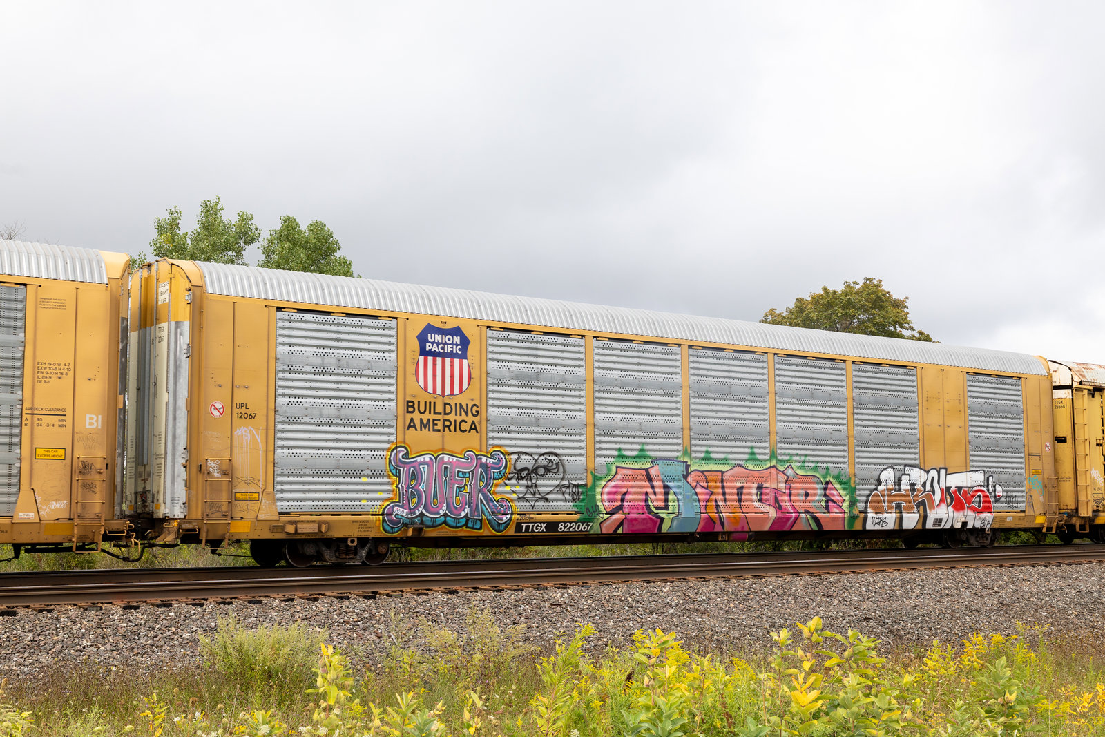 TTGX 822067