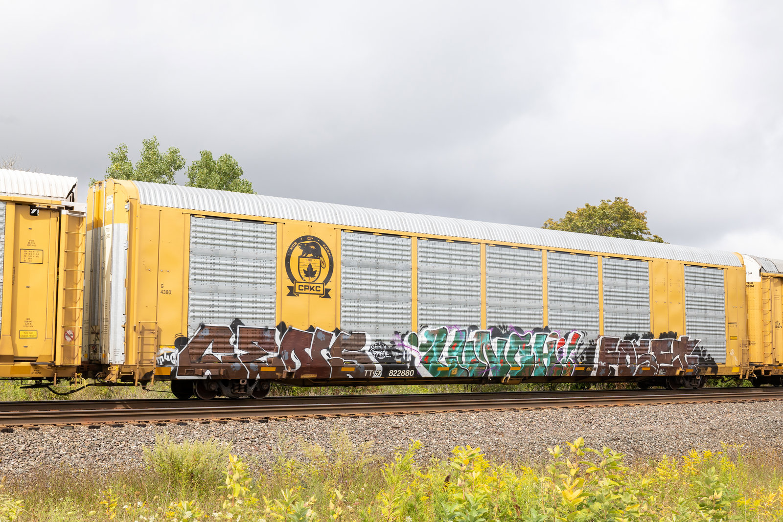 TTGX 822880