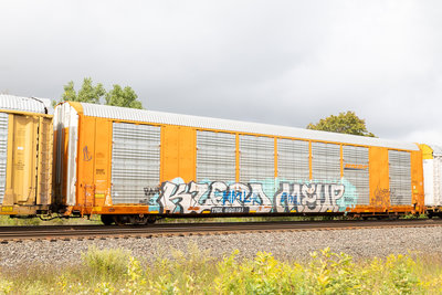 TTGX 696191