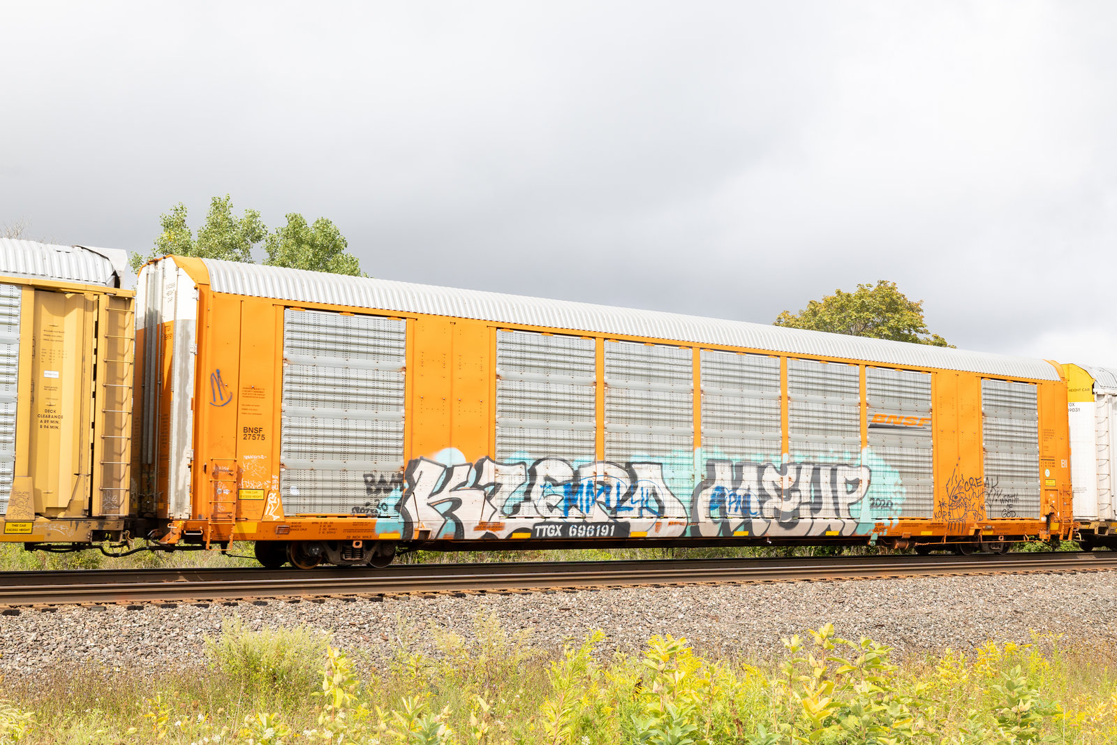 TTGX 696191