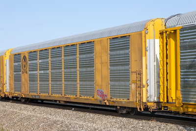TTGX 822297