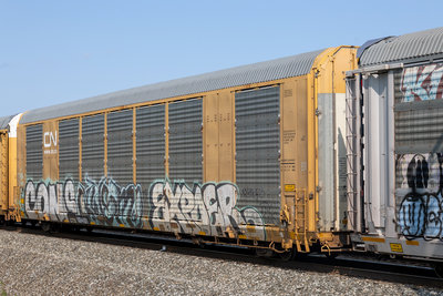 CTTX 694191