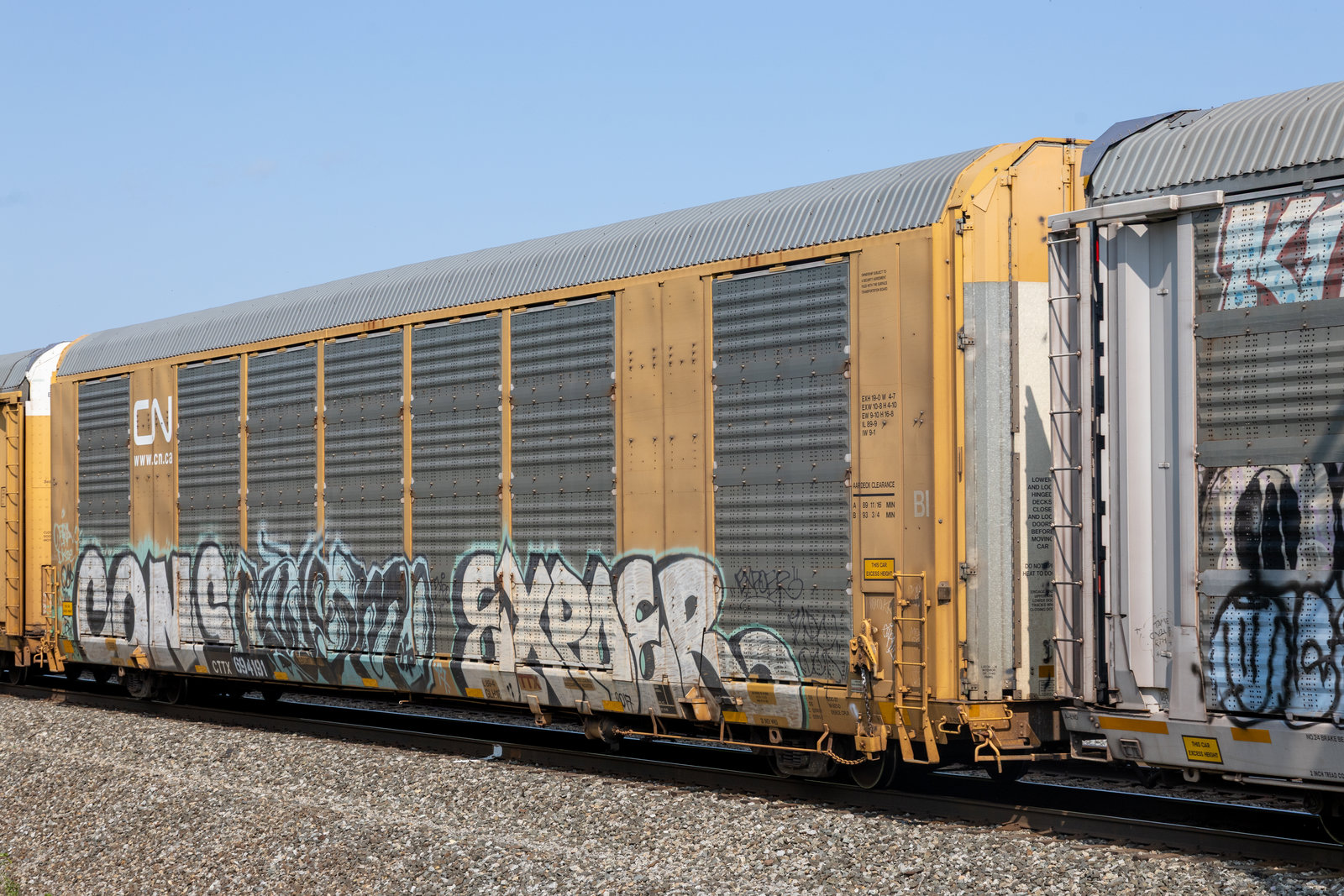 CTTX 694191