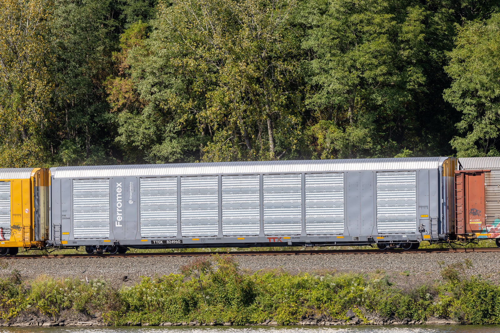 TTGX 824960