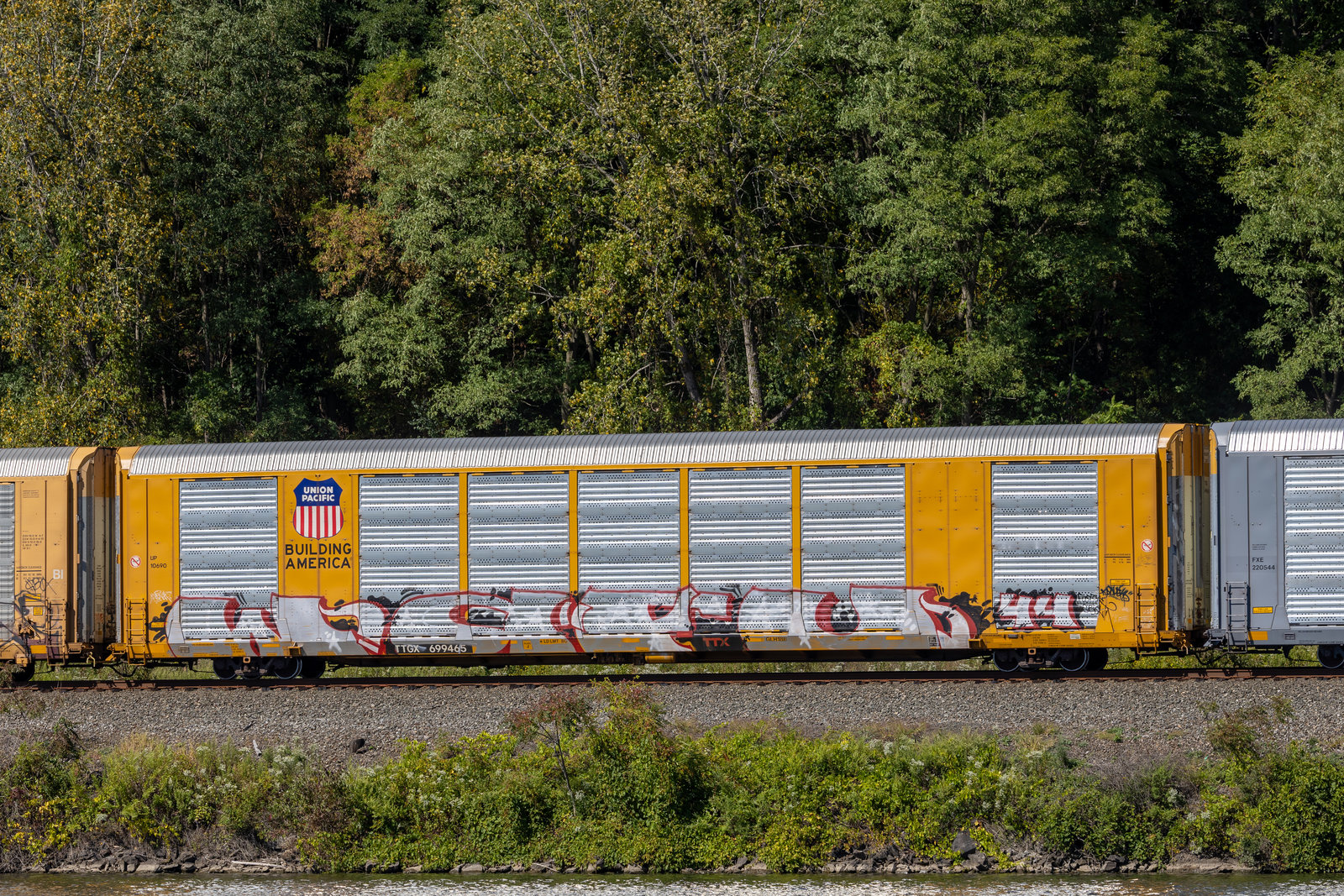 TTGX 699465